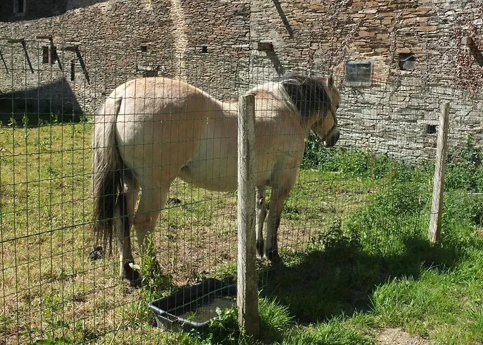 De La Bucaille Casa vacanze Planquery